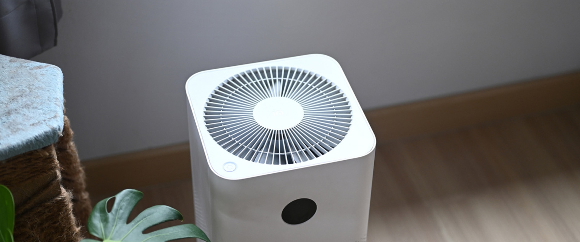The Pros and Cons of Air Purifiers: An Expert's Perspective