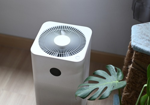 The Pros and Cons of Air Purifiers: An Expert's Perspective